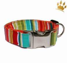 halsband lollx pop 1280x1280
