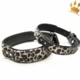 Hundehalsband Nairobi Leopard