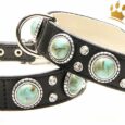 Hundehalsband Palma Deluxe Schwarz