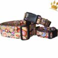 Hundehalsband Retro-Look Multi
