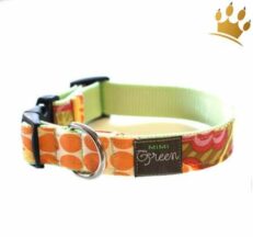 halsband tangerine 1280x1280