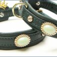 Hundehalsband Jade Thunder Petit