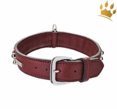 halsband3cmschliessebraun 1280x1280