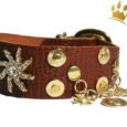 Hundehalsband Estrella de Mar Braun