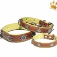 Hundehalsband Edelweiß Tirol Braun/Pistazie
