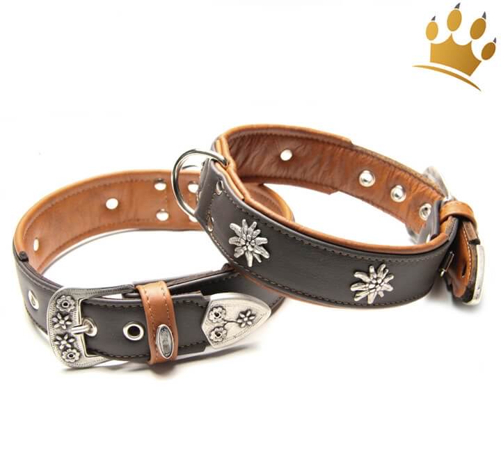 Günstig Halsband Edelweiss Deluxe Braun in unserem Hundeshop im Preisvergleich kaufen.