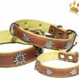 Hundehalsband Edelweiß Tirol Braun/Pistazie