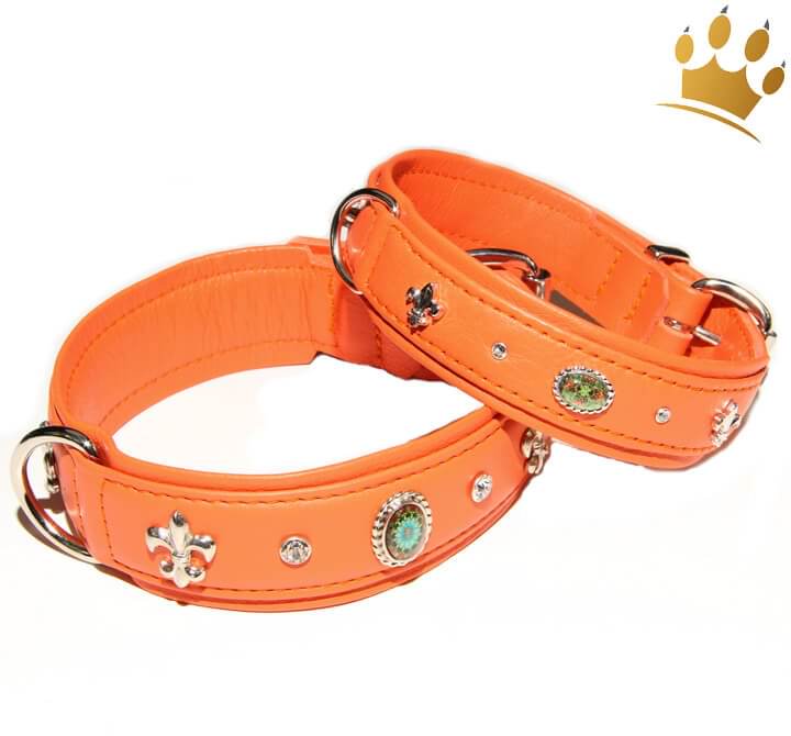 Günstig Hundehalsband Ibiza 80 Deluxe Orange in unserem Hundeshop im Preisvergleich kaufen.