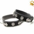 Hundehalsband Lion Selvaggio Black