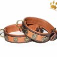 Hundehalsband Lion Selvaggio