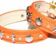 Hundehalsband Meeresbrise Orange
