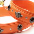 Hundehalsband Bella Angelo Orange