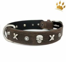 halsbandpiratenbraunIqPlsBSKCE0LU 1280x1280