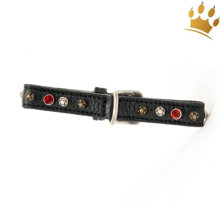 Günstig Malucchi Halsband Samarcanda 2cm Schwarz in unserem Hundeshop im Preisvergleich kaufen.