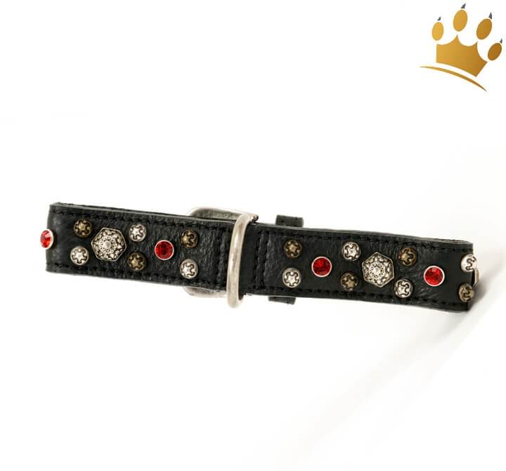 Günstig Malucchi Halsband Samarcanda 3cm Schwarz in unserem Hundeshop im Preisvergleich kaufen.