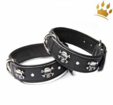halsbandskullschwarzMnX9KOFB1NcsW 1280x1280