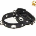 Hundehalsband Black Clear Thunder Petit