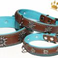 Hundehalsband Edelweiß Tirol Braun/Türkis