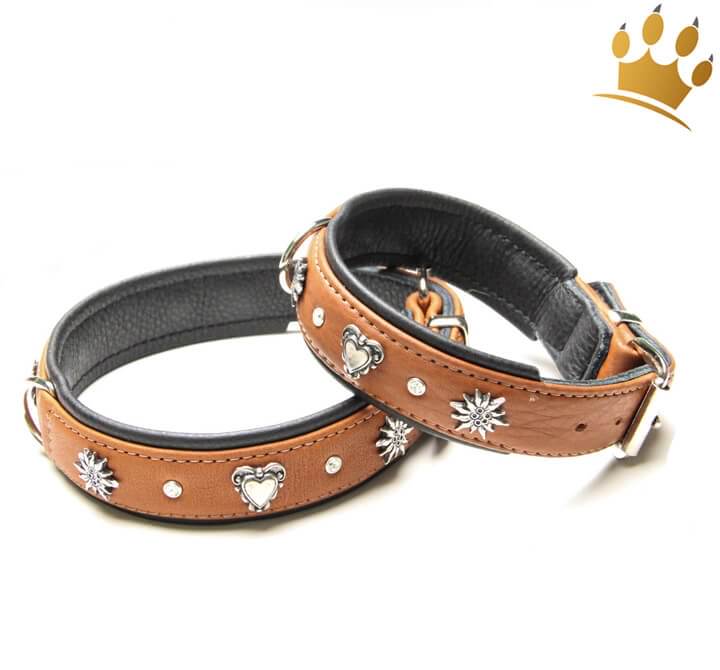 Günstig Halsband Zürs Deluxe Braun Big in unserem Hundeshop im Preisvergleich kaufen.