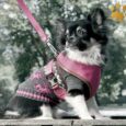 Canvas Harness-Set Pink