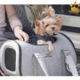 Puppy Angel Herringbone  Black