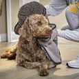 Hundehandtuch Cleankeeper Dry Knochen