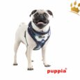 Puppia Softgeschirr Corporal Camouflage Blau