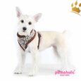 Pinkaholic Softgeschirr Leo Pug