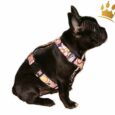Hundegeschirr Retro-Look Multi