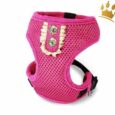 Hundegeschirrset 4 in1 Rokoko Pink