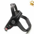 Tre Ponti Hundegeschirr Primo For Big Dogs Schwarz