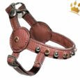 Malucchi Hundegeschirr Movie Bright Braun