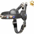 Malucchi Hundegeschirr Movie Petra Schwarz
