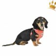 Puppia Step-In Geschirr Classy verstellbar Peach