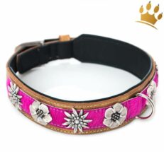 hundehalsband Blutenmeer Leder Pink 1280x1280