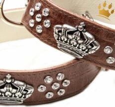 hundehalsband Crown deluxe Kroko Braun3nHGR3c2rZ8yG 1280x1280