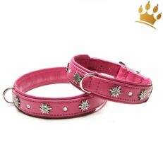 hundehalsband Edelweiss Bavaria Himbeere 1280x1280