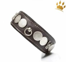 hundehalsband Ratier schwarz malucchiOsQ2blJwCTnfs 1280x1280