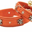 Hundehalsband Crazy Scully Orange