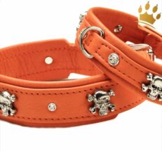 hundehalsband Scully Orange 1280x1280