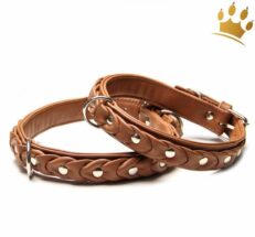 hundehalsband ascot de LuxeSIj9nKcJ6HLeC 1280x1280