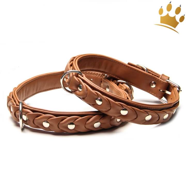 Günstig Hundehalsband Ascot de Luxe in unserem Hundeshop im Preisvergleich kaufen.