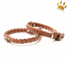 hundehalsband ascot petit cognacm8kw2jBOh9byz 1280x1280