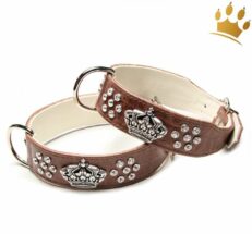 hundehalsband crown deluxe krokobraun9N3upuU7naURH 1280x1280