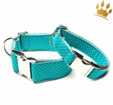 hundehalsband dotty turkis 1280x1280