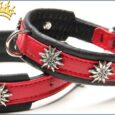 Hunde-Lederhalsband Edelweiß Schwarz / Rot Petit