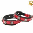 Hunde-Lederhalsband Edelweiß Schwarz / Rot Petit