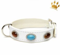hundehalsband fastination t 1280x1280