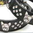 Hundehalsband Bully Charmeur Strass