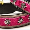 Hundehalsband Gipfelstürmer Pink